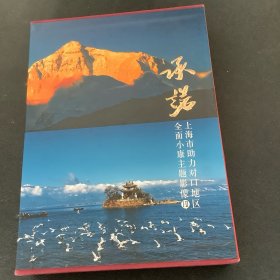 承诺：上海市助力对口地区全面小康主题影像（全二册）