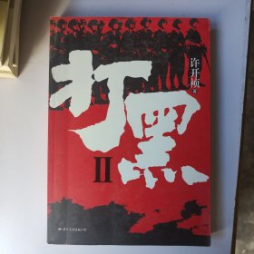 打黑2