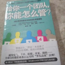 给你一个团队，你能怎么管？  16开  全新未拆封