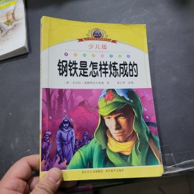 注音美绘本经典阅读--钢铁是怎样炼成的