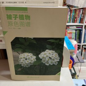 被子植物原色图谱/四川卧龙国家级自然保护区系列丛书