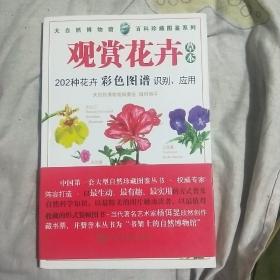 观赏花卉（草本）