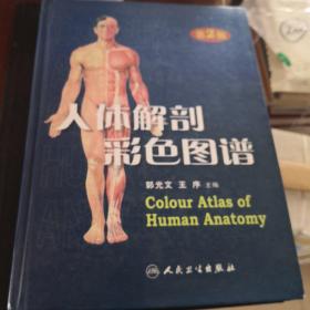 人体解剖彩色图谱