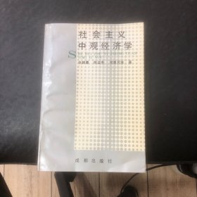 社会主义中观经济学