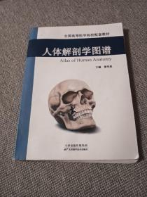 人体解剖学图谱（彩图版）