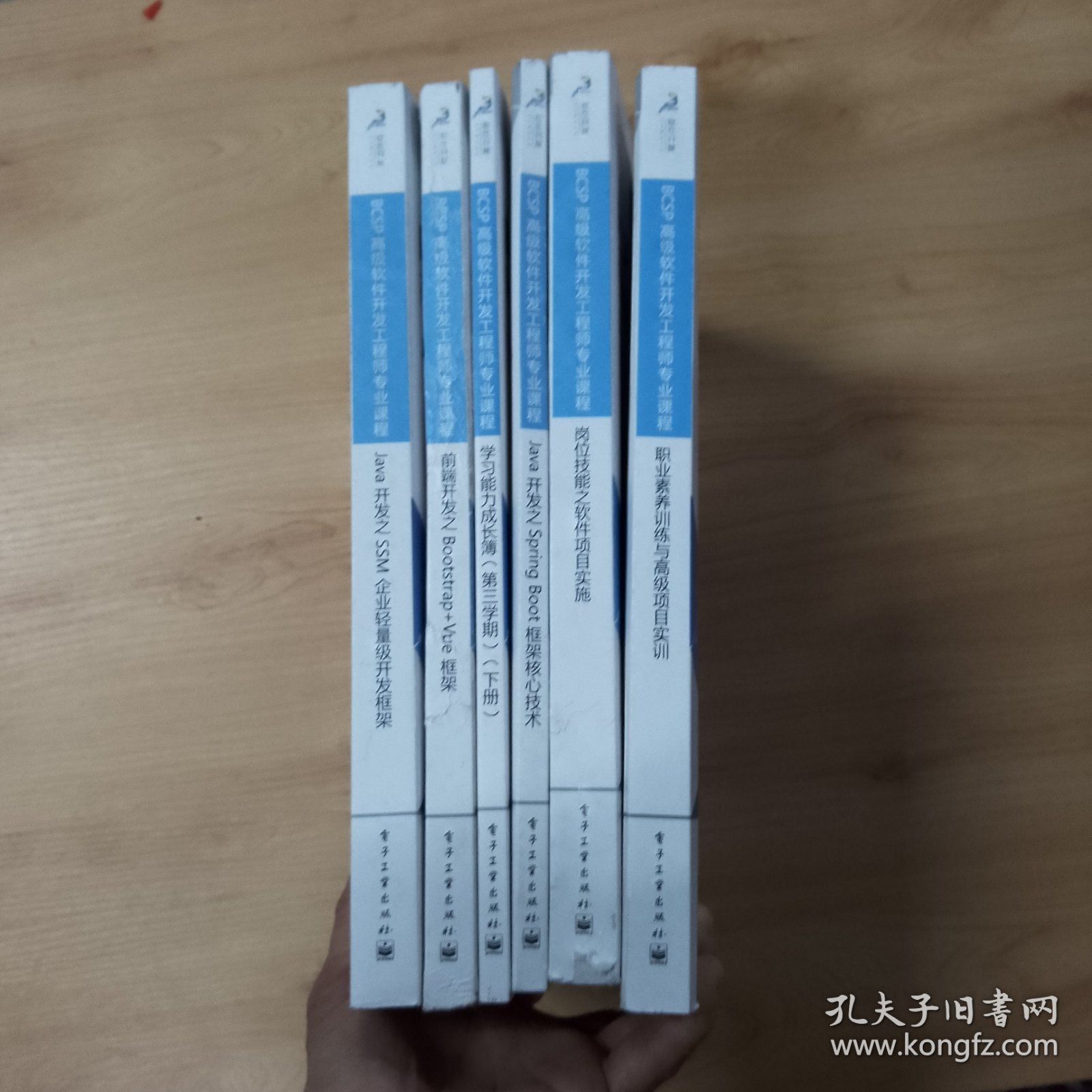 高级软件开发工程师专业课程， 全8册（少Java开发之框架基础技术，学习能力成长簿第三学期上册）6册合售