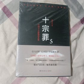 十宗罪5：中国十大凶杀案