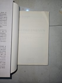 网络心理与行为译丛：青少年在线社会沟通与行为网络关系的形成