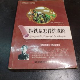 全面展现世界文学名著精粹：钢铁是怎样炼成的