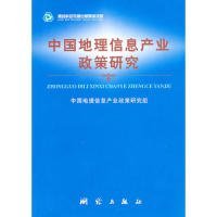 中国地理信息产业政策研究