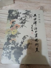 求师南北：王芳泽诗书画艺术集（8开）