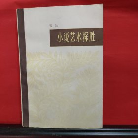 小说艺术探胜