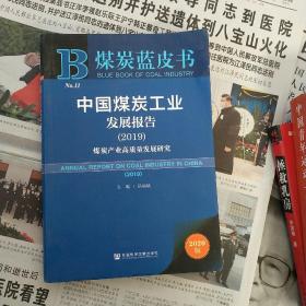 煤炭蓝皮书：中国煤炭工业发展报告（2019）