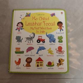 Mo Chead Leabhar Focail