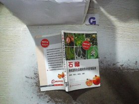 果树病虫害防治丛书：石榴病虫害防治及果树农药使用简表