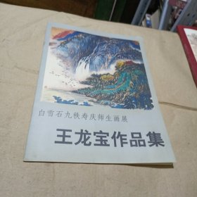 王龙宝作品集