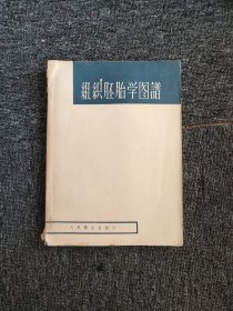 组织胚胎学图谱（含几张手绘图）