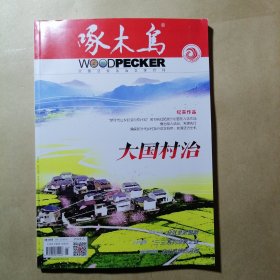 啄木鸟 2024 5