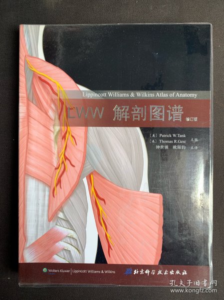LWW解剖图谱