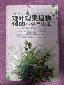 观叶观果植物1000种经典图鉴