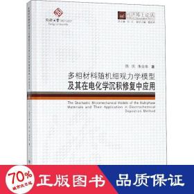 同济博士论丛——多相材料随机细观力学模型及其在电化学沉积修复混凝土中的应用