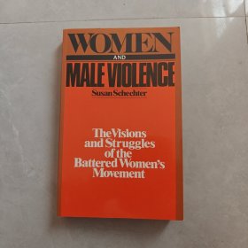 The Visions and Struggles of the Battered Women's Movement（英文版）