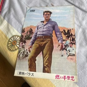 电影场刊 手足英雄 Flaming Star