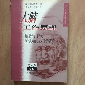 大脑工作原理：脑活动、行为和认知的协同学研究