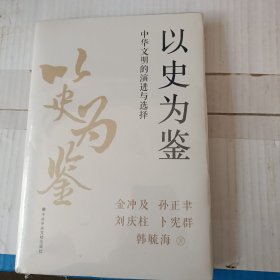 以史为鉴 中华文明的演进与选择 中国历史 金冲及 等 新华正版