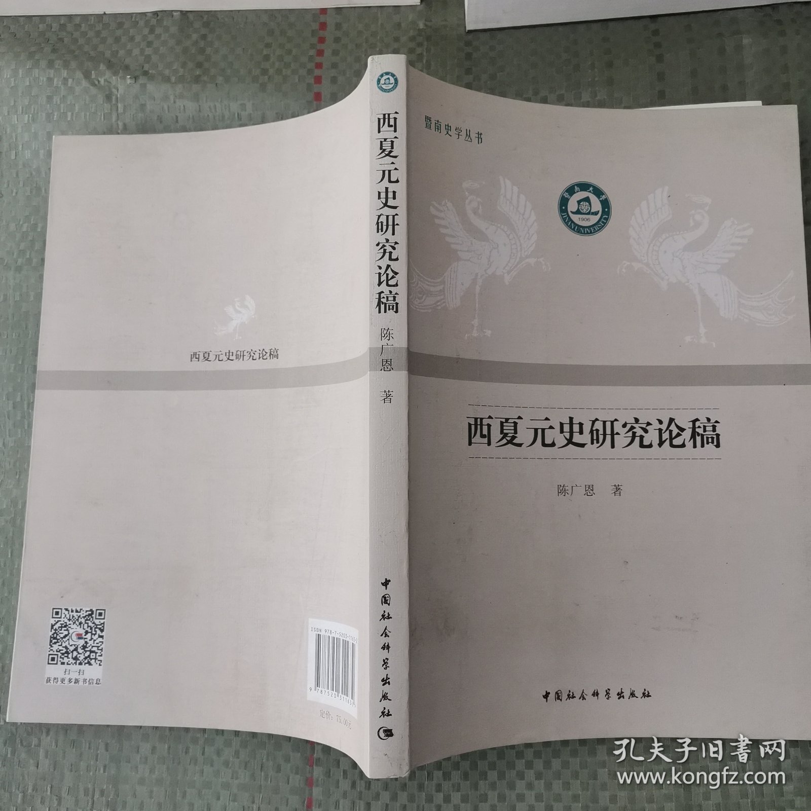 西夏元史研究论稿