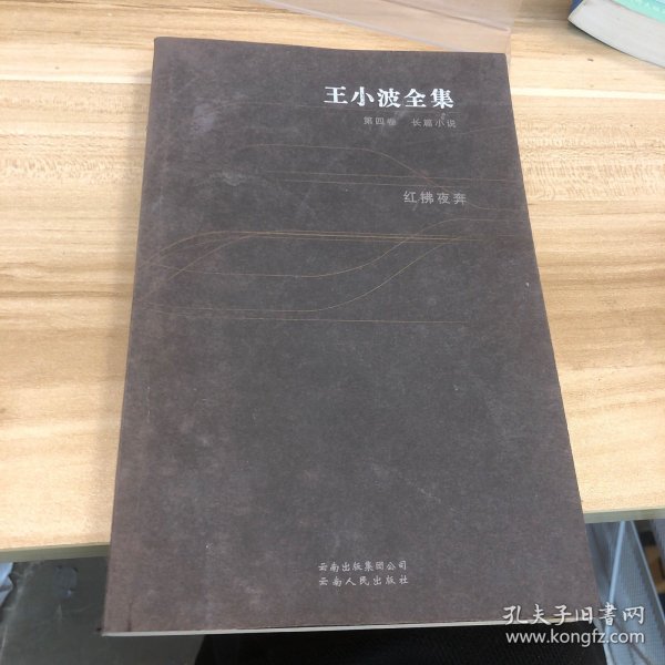 王小波全集：红拂夜奔（第四卷）：王小波全集第四卷 长篇小说