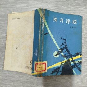 摘月谍踪(馆藏)