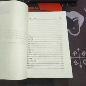 天街夜吼.中国当代名人随笔 王蒙