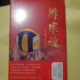 排球魂（奥运冠军赵蕊蕊亲身采访几代排球人60幅珍贵照片重现辉煌瞬间）