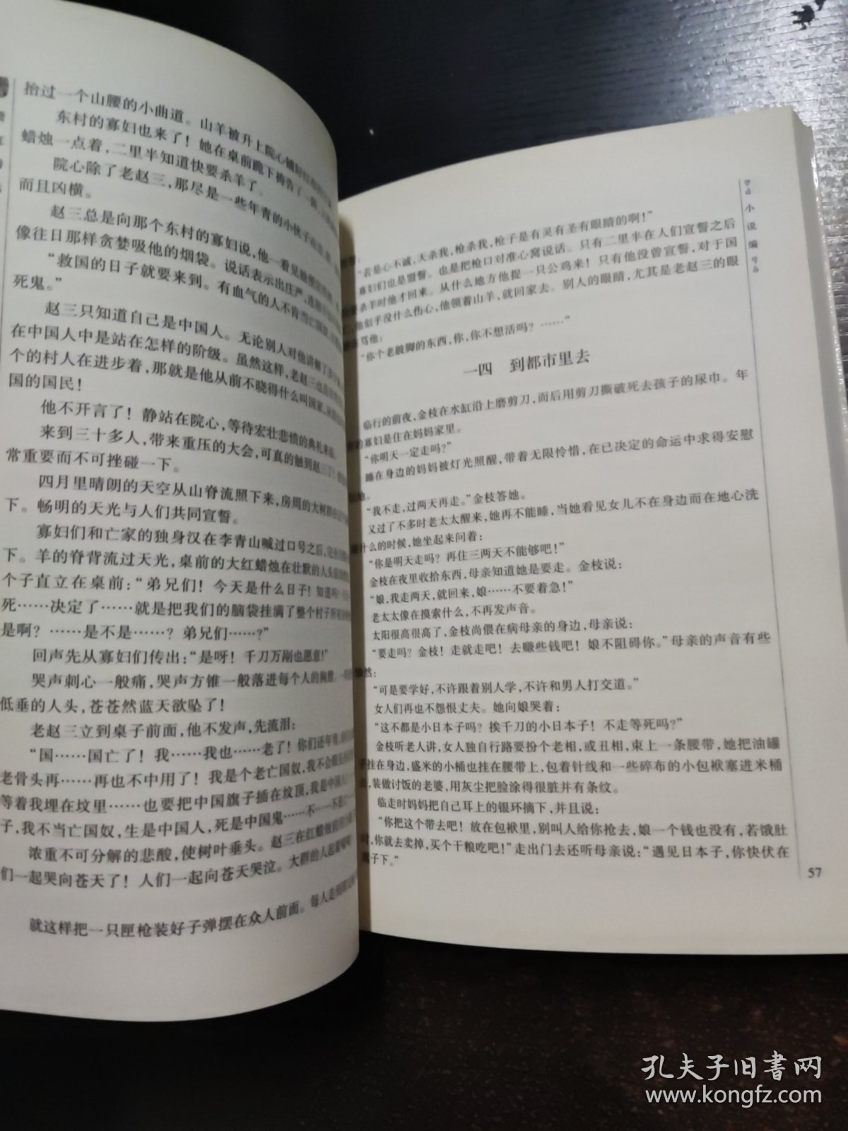 萧红精选集