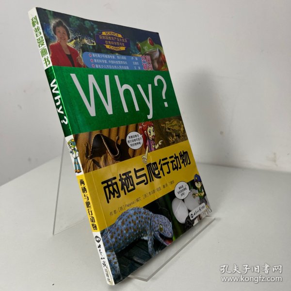 WHY?两栖与爬行动物