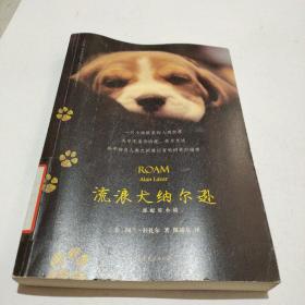 流浪犬纳尔逊