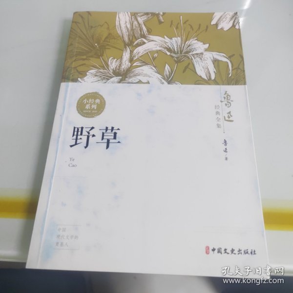 鲁迅经典全集（野草）