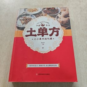 土单方 中医书籍养生偏方大全民间老偏方美容养颜常见病防治 保健食疗偏方秘方大全小偏方老偏方中医健康养生保健疗法