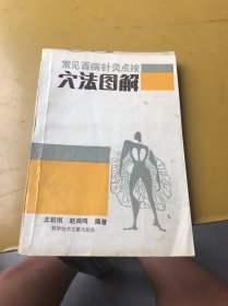 常见病针灸点按穴位图解