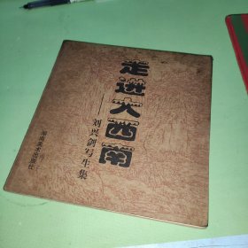 走進(jìn)大西南——?jiǎng)⑴d劍寫生集 一版一印