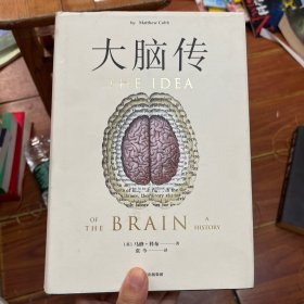 大脑传