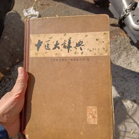 中医大辞典
