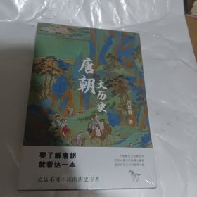 唐朝大历史