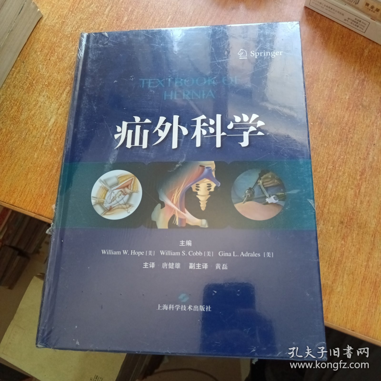 疝外科学（全新塑封未拆）精装本