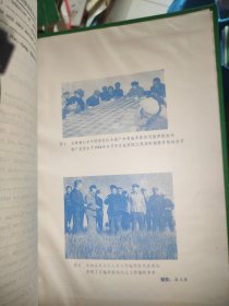 内蒙古农牧学院学报(自然科学版)1982-1983-1984合订本