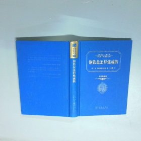 钢铁是怎样炼成的 全译典藏版