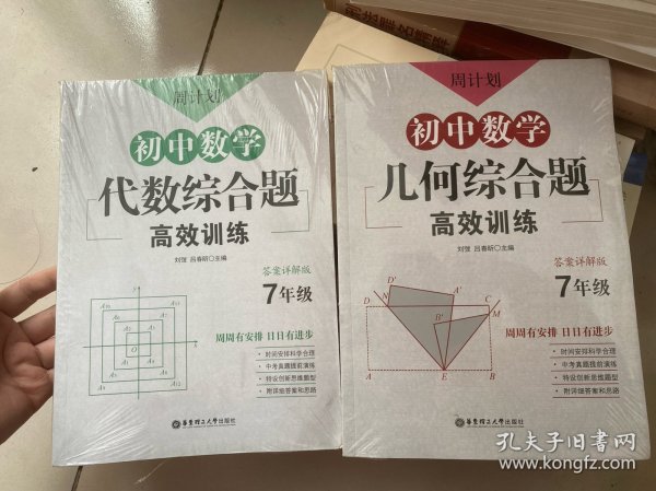 周计划：初中数学代数综合题高效训练（7年级）