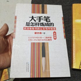 大手笔是怎样炼成的（实践篇）：资深老秘书的写作秘笈