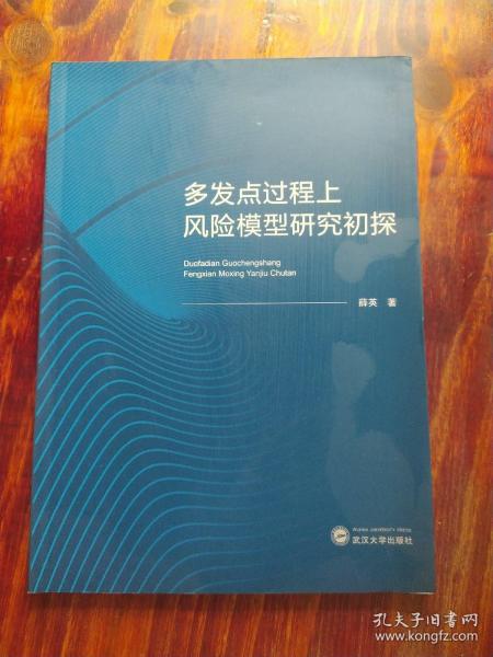 多发点过程上风险模型研究初探